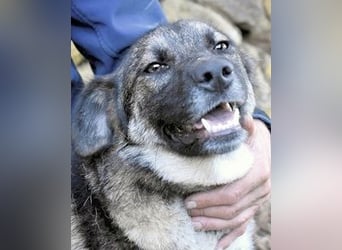 Silvana - im Eilschritt nach Hause?