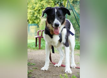 Coraggio - Schritt für Schritt ins Leben zurück