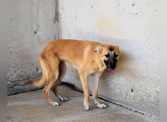 Olympia - "Und wenn sie nicht weg sind....
