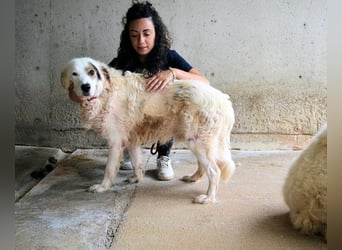 Bailoch - Zeig mir doch bitte...