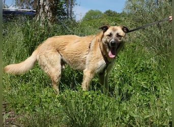 Life - Life will mehr vom Leben - und das zeigt er deutlich!