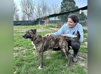 Ludwig - Nur Mädchen erlaubt