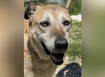 Plugh - Opa Plugh möchte die Welt - und Sie! kennenlernen