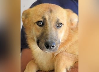 Osita - "Und wenn sie nicht weg sind.....