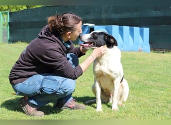 Florentino - Der hübscheste aller Batmans