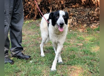 Jasmine - Wer nicht neugierig ist, erfährt nichts!