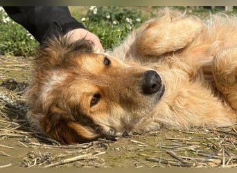 Ligorio - Zwölf, elf, zehn ... eins - Ligorio