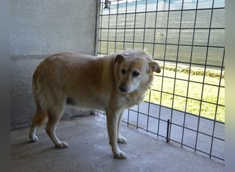 Addison - lange sitzen sie schon da und haben es schwer