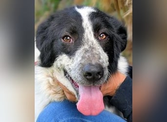 Jessie - Wer nicht neugierig ist, erfährt nichts