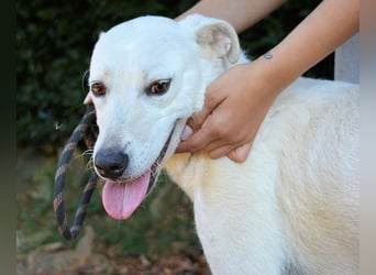 Dafnielle - Zukunft gesucht