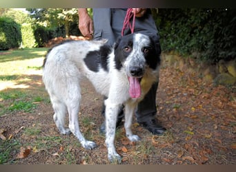 Jasmine - Wer nicht neugierig ist, erfährt nichts!