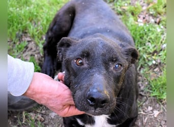 Rhino - NOTFALL !!! - Wenn man nicht auffällt, geht man unter