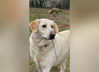 Patty - leise Schritte, große Hoffnung