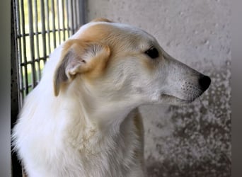 Liuba - sucht ihren Platz im Leben