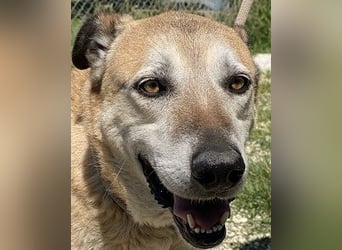 Plugh - Opa Plugh möchte die Welt - und Sie! kennenlernen