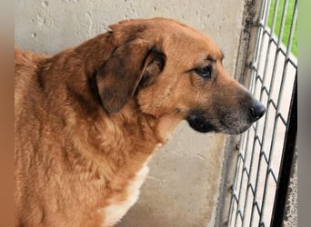 Kemp - Runder Rundum-Schatz