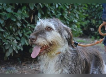 Minnie - Nach 7 Jahren Unglück endlich 7 Jahre Glück?