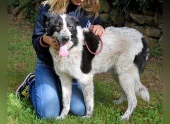 Jessie - Wer nicht neugierig ist, erfährt nichts