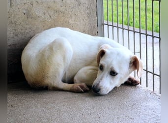 Radford - Ein Anfang, der nie kam