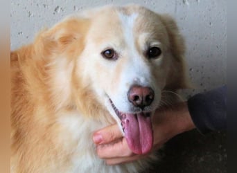 Tirvian - Kurz Alarm, dann Charme