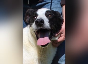 Florentino - Der hübscheste aller Batmans