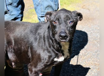 Rhino - NOTFALL !!! - Wenn man nicht auffällt, geht man unter