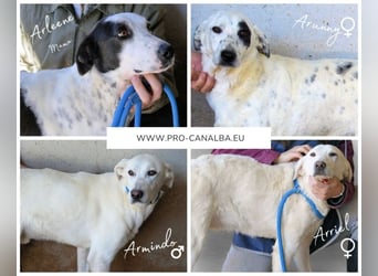 Arunny - aller guten Dinge sind drei