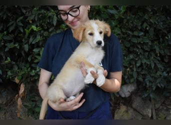 Marula - ...und Mama konnte es dir nicht zeigen
