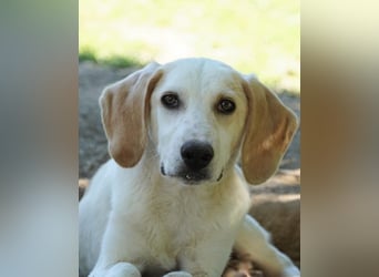 Deddy -  Mit neugierigen Pfoten ins Leben