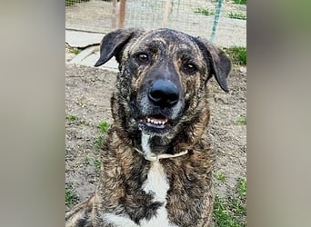 Ludwig - Nur Mädchen erlaubt