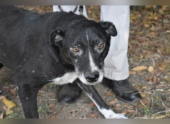 Elowen - eine Tänzerin im Mondlicht, bis die Sonne die Träume verjagt