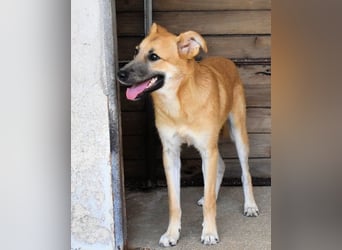 Osita - "Und wenn sie nicht weg sind.....