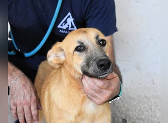 Osita - "Und wenn sie nicht weg sind.....