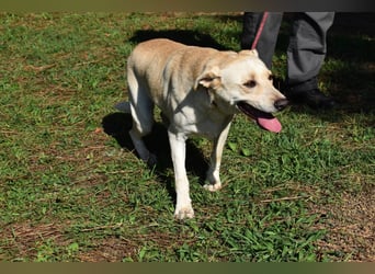 Hughie - macht ein Freundschaftsangebot