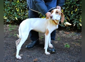 Samarie - Abenteuerlust und Kuschelzeit