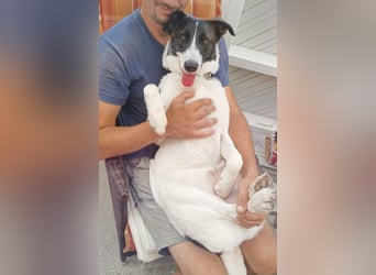 Fioretta - NOTFALL - 2. Lebensglück gesucht