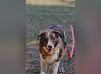 Coraggio - Schritt für Schritt ins Leben zurück