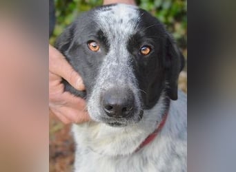 Flicka - möchte noch viel erleben