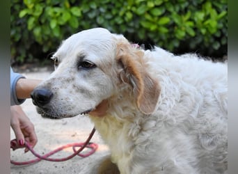 Kastore - Die Welt erkunden!