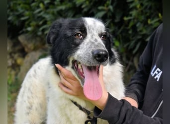 Jasmine - Wer nicht neugierig ist, erfährt nichts!