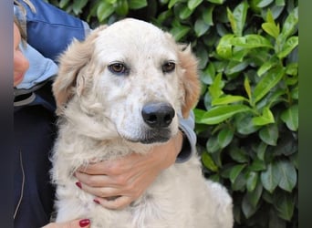 Kastore - Die Welt erkunden!