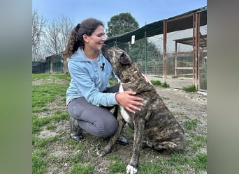 Ludwig - Nur Mädchen erlaubt