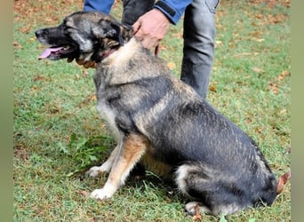 Silvana - im Eilschritt nach Hause?