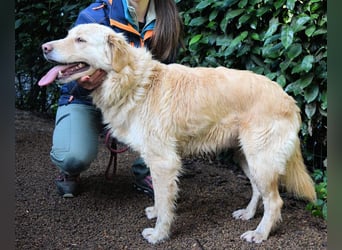 Rodman - läuft sich die Seele wund