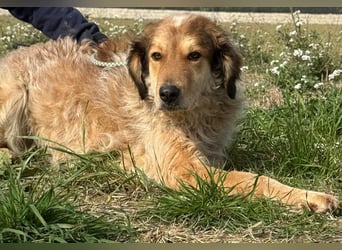 Ligorio - Zwölf, elf, zehn ... eins - Ligorio