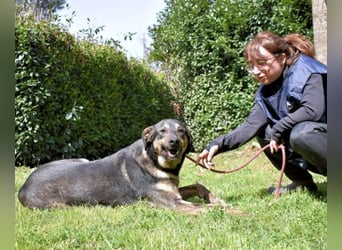 Montego - Sonne im Bauch und Brausekribbeln im Hirn