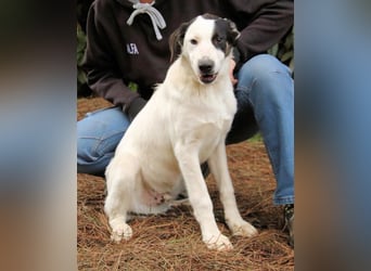 Marius - We proudly present...