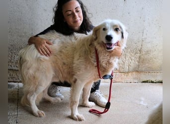 Bailoch - Zeig mir doch bitte...