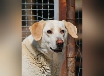 Patty - leise Schritte, große Hoffnung