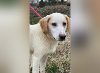 Deddy -  Mit neugierigen Pfoten ins Leben